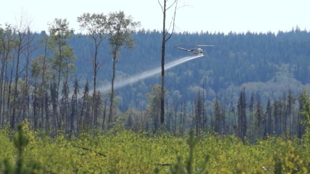 New research shows glyphosate could be harmful to freshwater ecosystems | CBC News