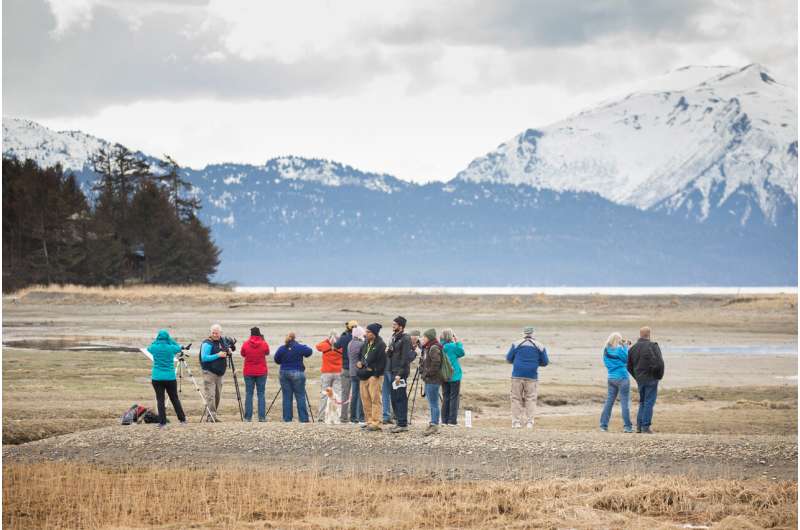 Birdwatchers search Beluga Slough in Kachemak Bay. Credit: Photo by Lisa Hupp, U.S. Fish and Wildlife Service Birdwatching brings millions of dollars to Alaska