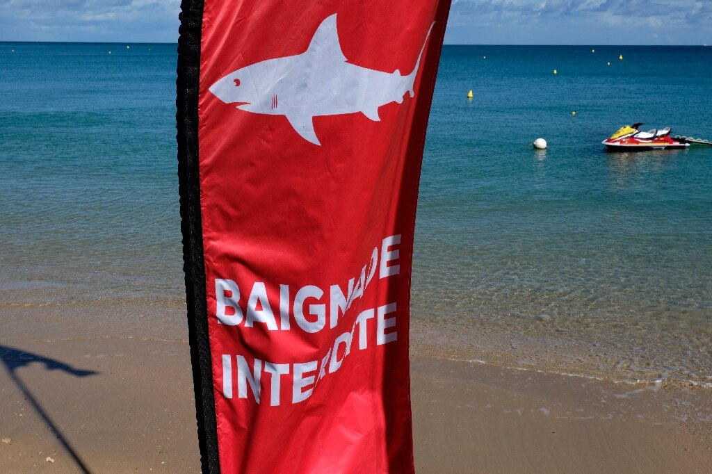 Suspected fatal shark attack in New Caledonia