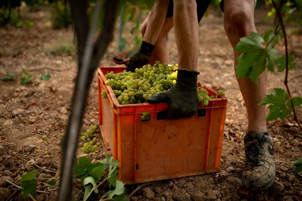 Spain, Portugal dryness 'unprecedented' in 1,200 years