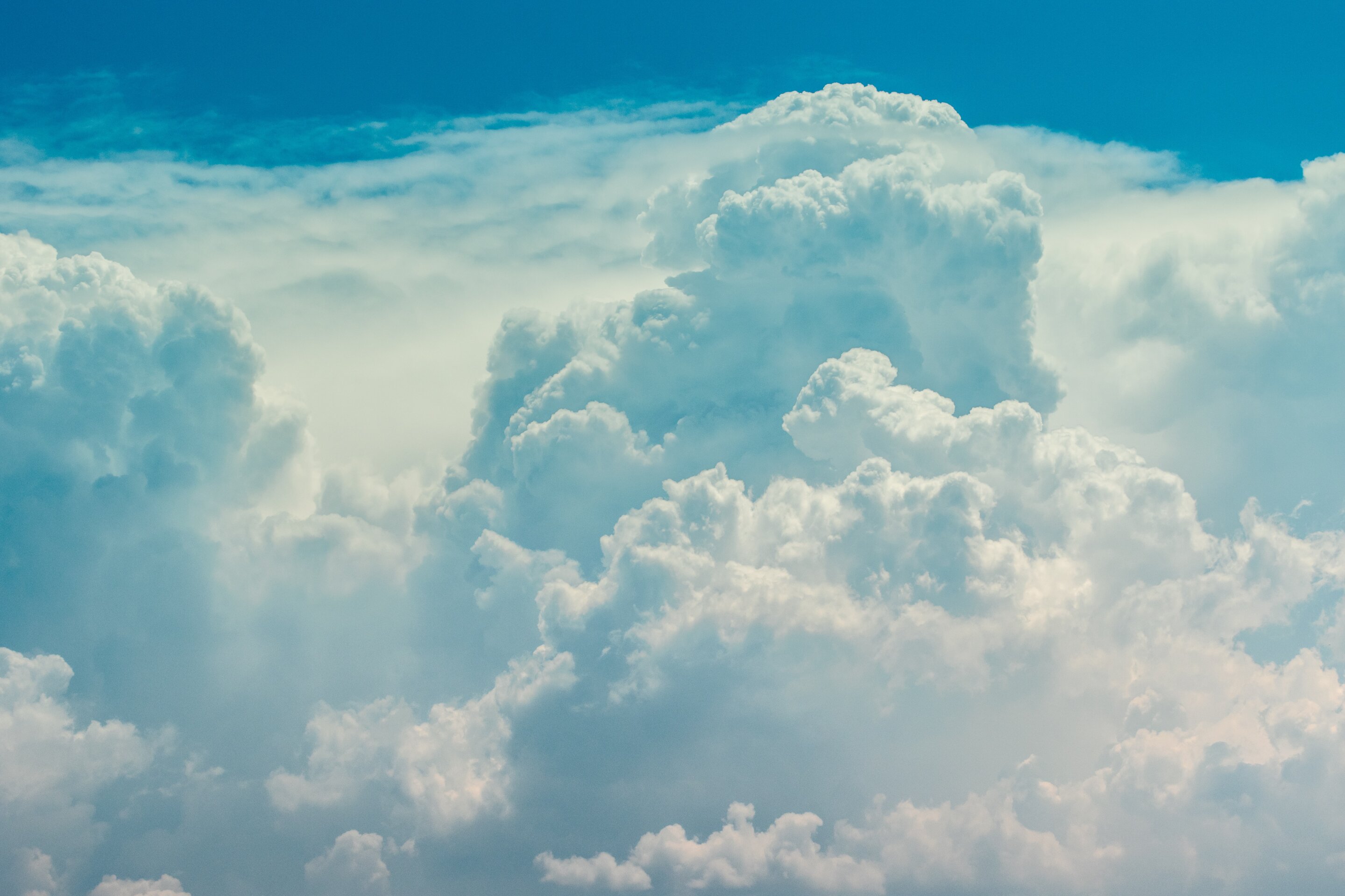 Observations confirm that aerosols formed from plant-emitted compounds can make clouds brighter