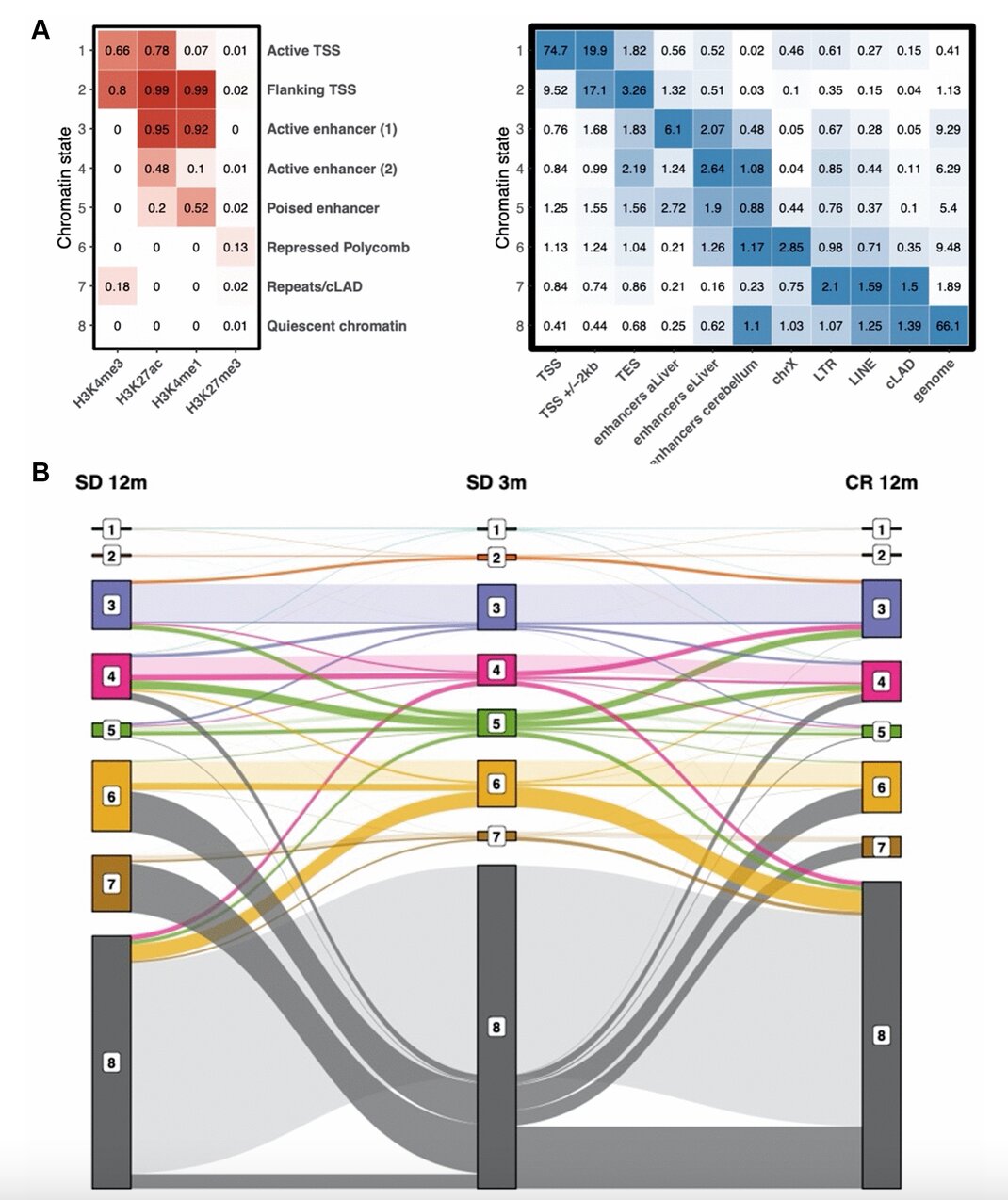 Time makes histone H3 modifications drift in mouse liver