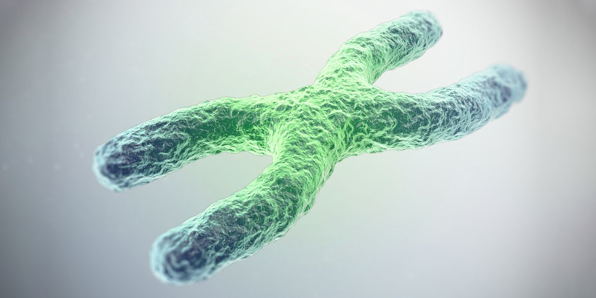 It Sure Looks Like Humans Have Found a Way to Reverse Aging