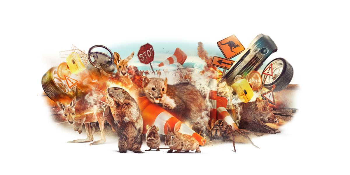 When Animals Attack . . . or Snack on Your Car 2 When Animals Attack . . . or Snack on Your Car