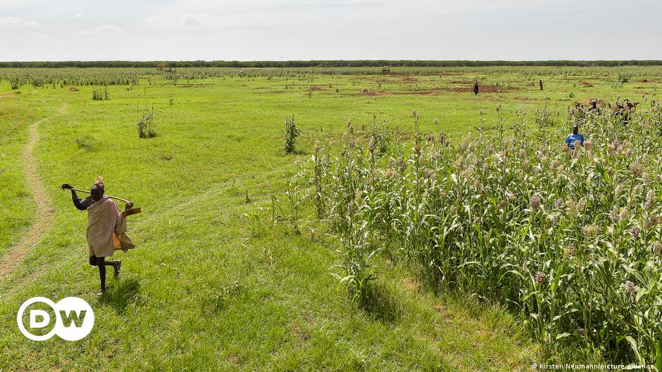 With vast arable lands, why is Africa dependent on imported grain? | DW | 29.06.2022