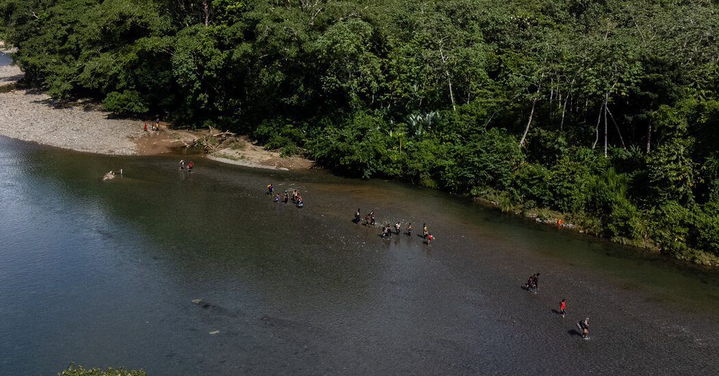 Perilous, Roadless Jungle Becomes a Path of Desperate Hope