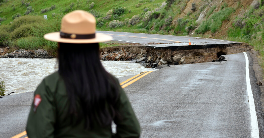 Yellowstone to Weigh Climate Change Risks When Rebuilding From Flood