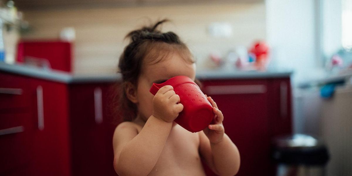 Lead detected in 80% of Allegheny County, Pa., water systems: Report