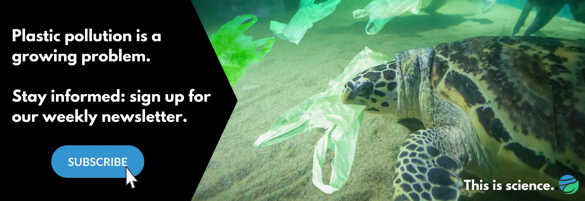 Estamos vertiendo montones de productos químicos retardantes para combatir los incendios forestales. ¿Qué significa esto para la vida silvestre?