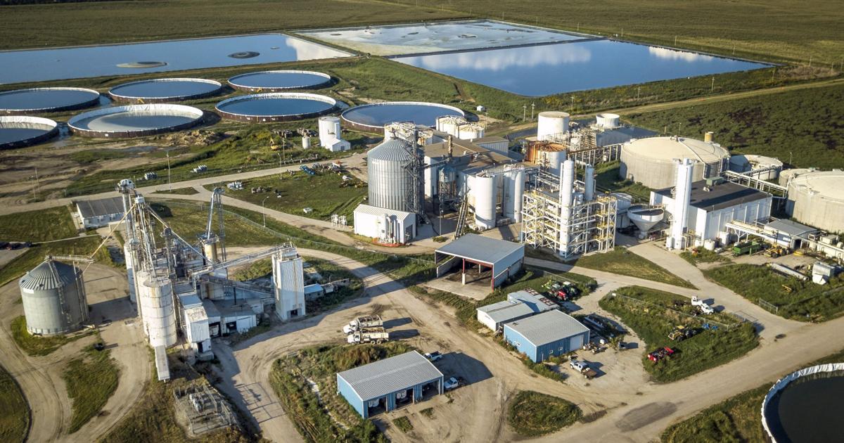 State renews AltEn's permit to land-apply treated wastewater