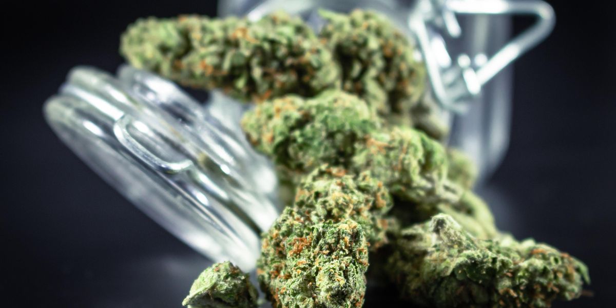 Cannabis Risk Manager Calls Out Need for US Reform 36 Cannabis Risk Manager Calls Out Need for US Reform