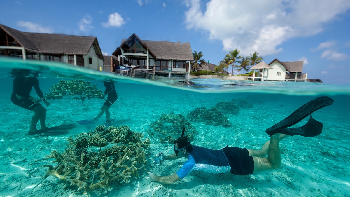 What does sustainable travel mean?