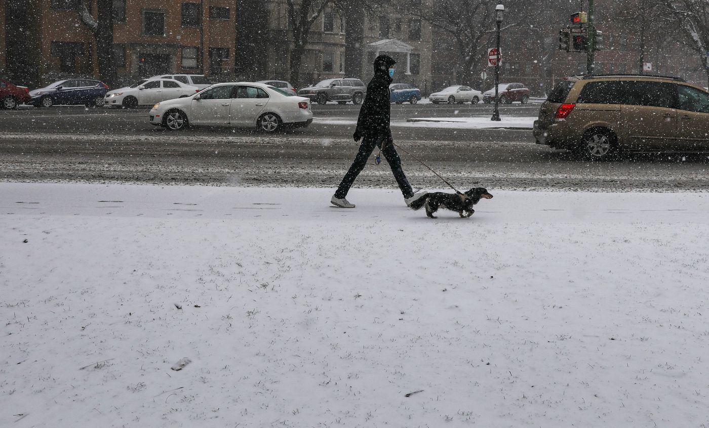 A man walks a dachshund on North Milwaukee Avenue in Chicago's Logan Square neighborhood, March 15, 2021.