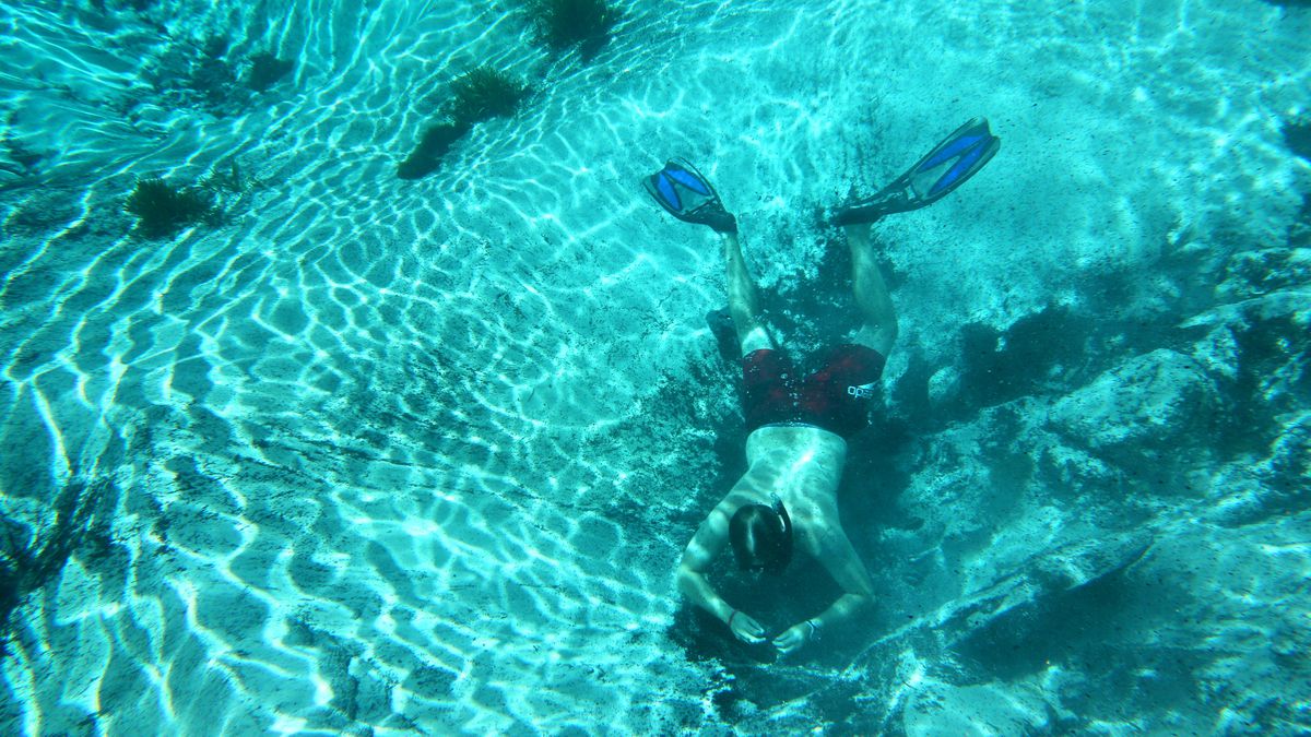 Florida springs protection rule is overdue and underwhelming, critics say