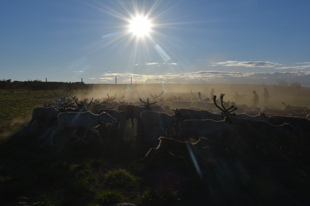 Midnight Sun heat wave