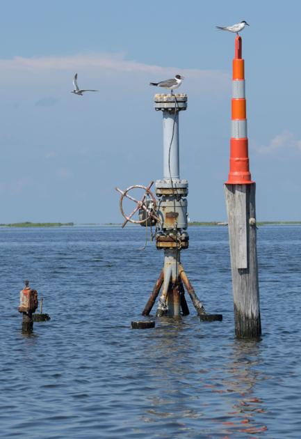 Louisiana state Senate committee sides (again) with oil companies against parishes over lawsuits