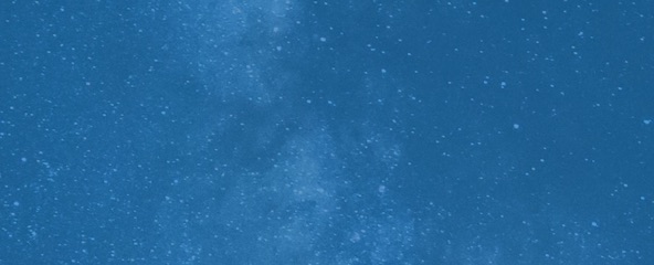 Ed Yong’s ‘An Immense World’ reveals how animals perceive the world 2 Ed Yong’s ‘An Immense World’ reveals how animals perceive the world