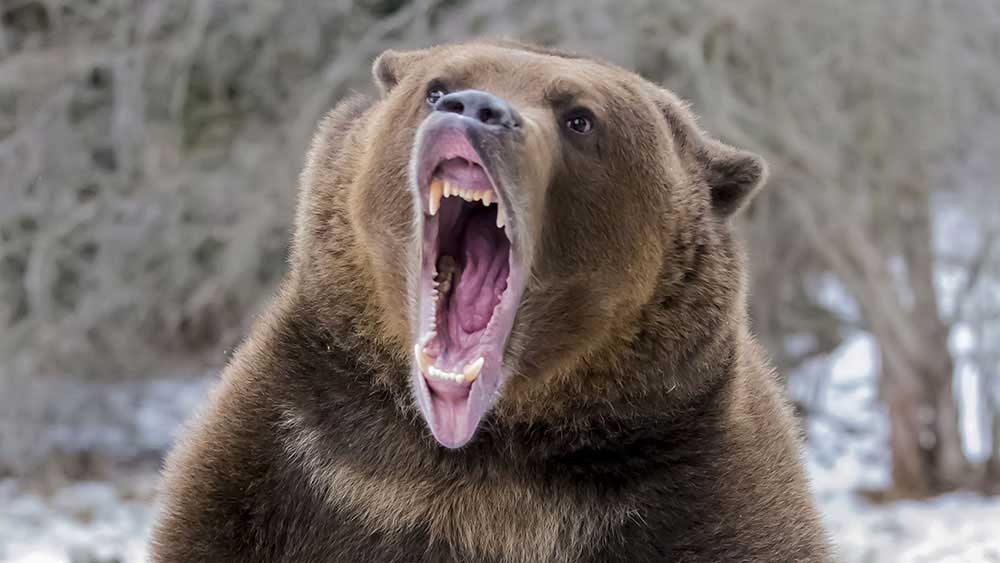 Market Correction Intensifies; What To Do Now