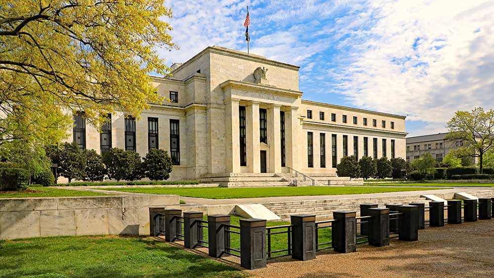 Fed Bolsters Rebound; Where To Find Winners Now