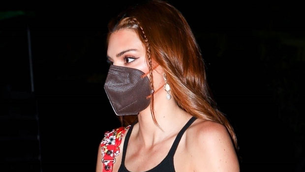 Kendall Jenner Rocks Black Crop Top & Leather Pants At Coachella With Kylie