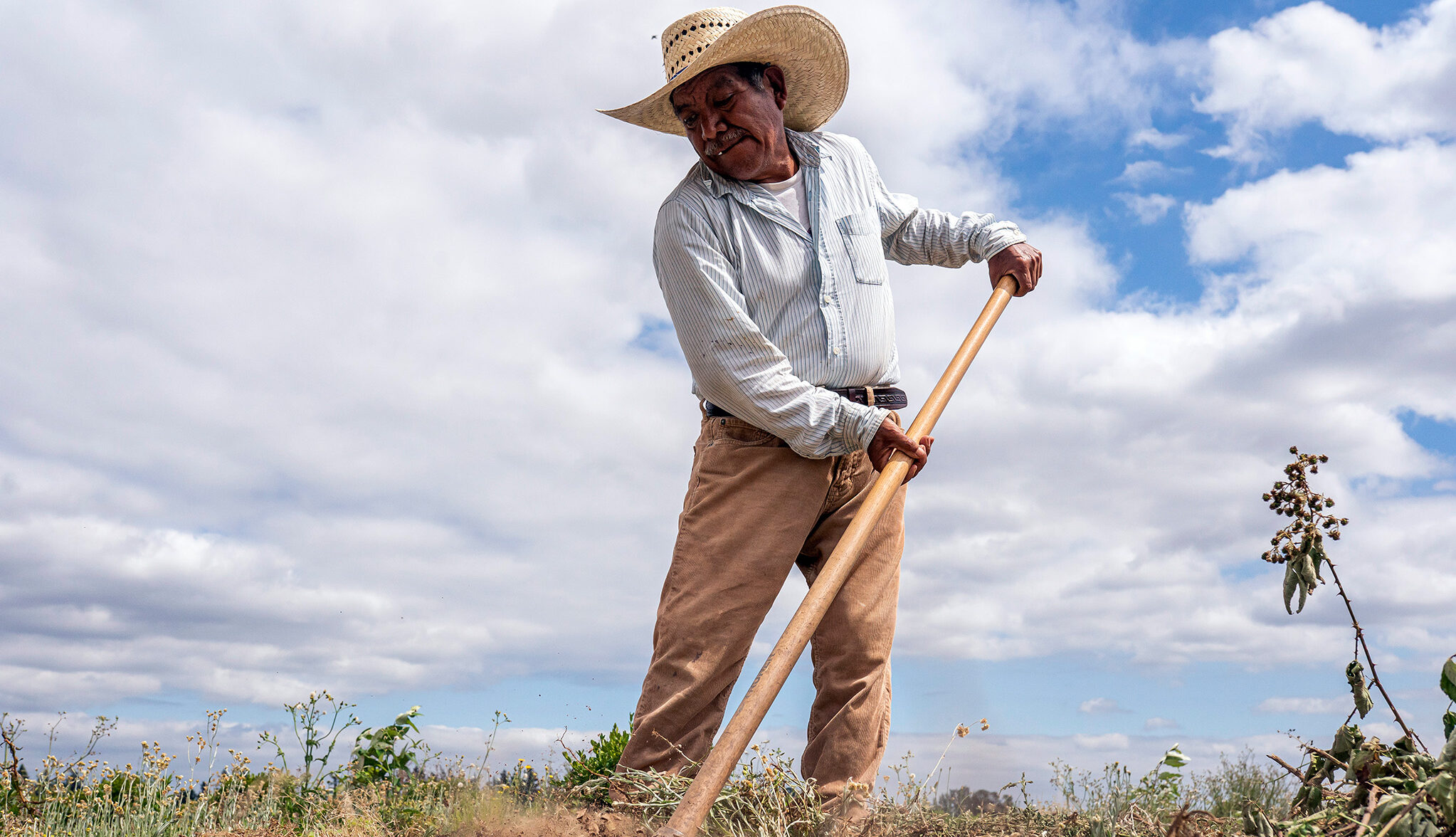 As heat rises, who will protect farmworkers? | Food and Environment Reporting Network