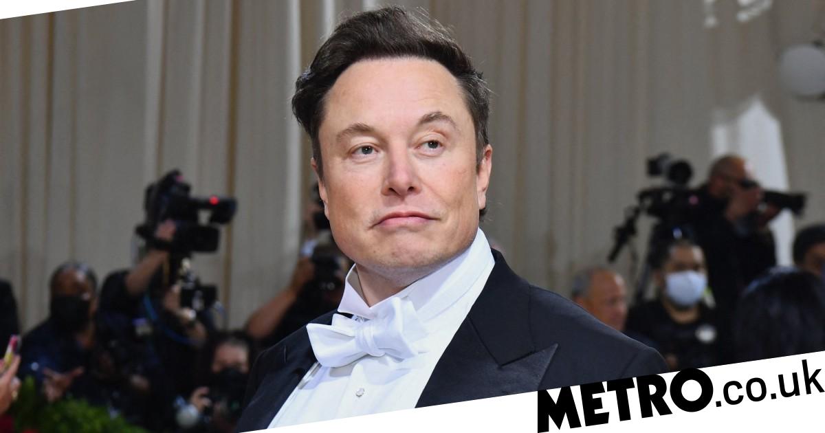 Elon Musk ‘had twins with exec weeks before baby with Grimes was born'