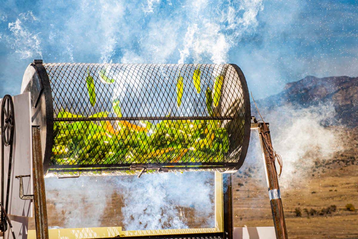 Roasting green chillies in the sun could pave way for solar cooking 20 Roasting green chillies in the sun could pave way for solar cooking