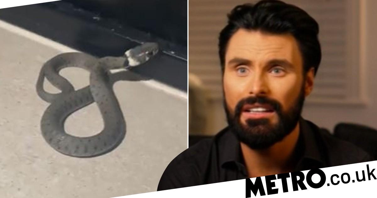 Rylan leaves fans in hysterics as he freaks out after finding snake in his house